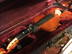 Violin